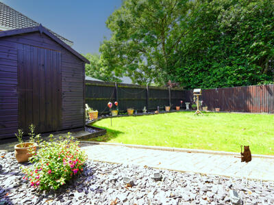 Picture 38